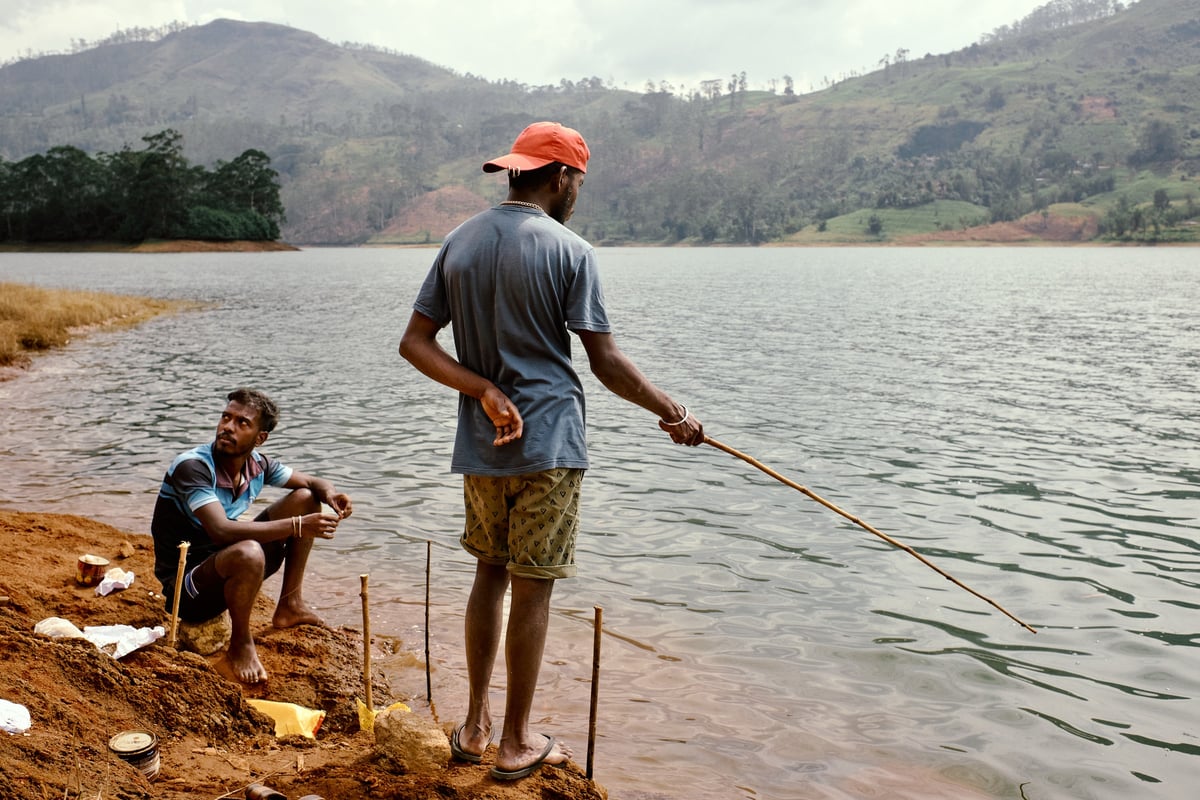 The Cost of Tea — Sri Lanka — 8